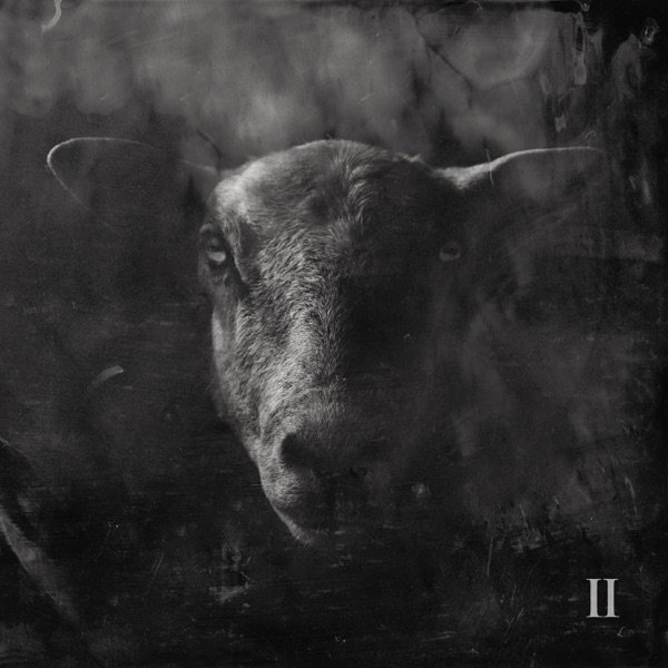 Black Sheep II cover
